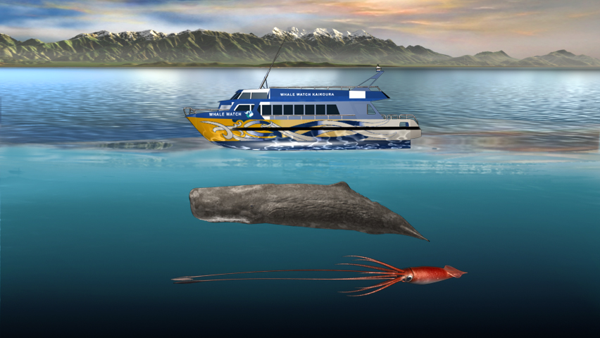 Size comparison between a sperm whale, giant squid &amp;amp;amp;amp;amp;amp;amp;amp;amp;amp;amp;amp;amp;amp;amp;amp;amp;amp;amp;amp;amp;amp;amp;amp;amp;amp;amp;amp;amp;amp;amp;amp;amp;amp;amp;amp;amp;amp;amp;amp;amp;amp;amp;amp;amp;amp;amp;amp;amp;amp; whale watch vessel.