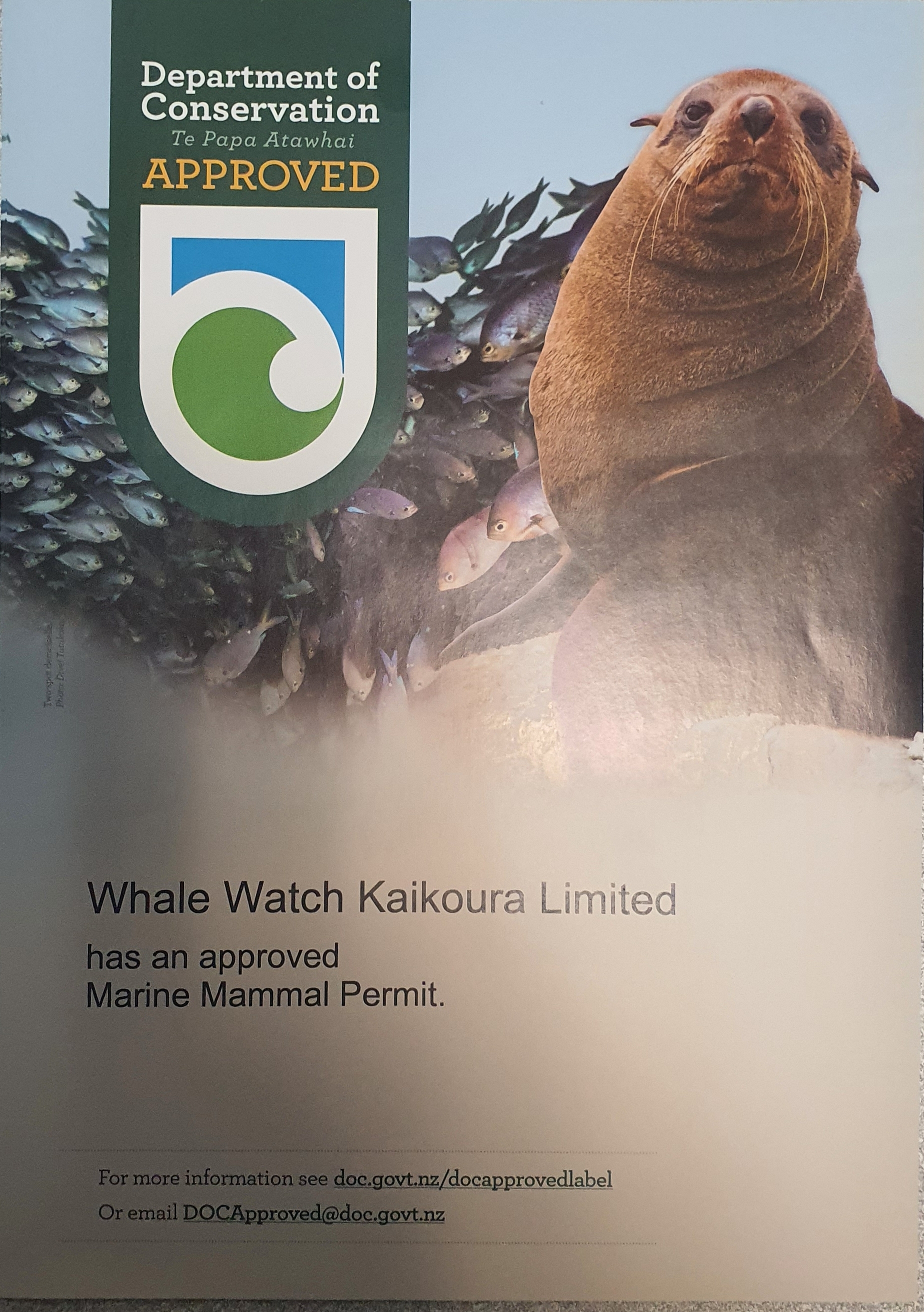 20230529 164811 20230529 164811