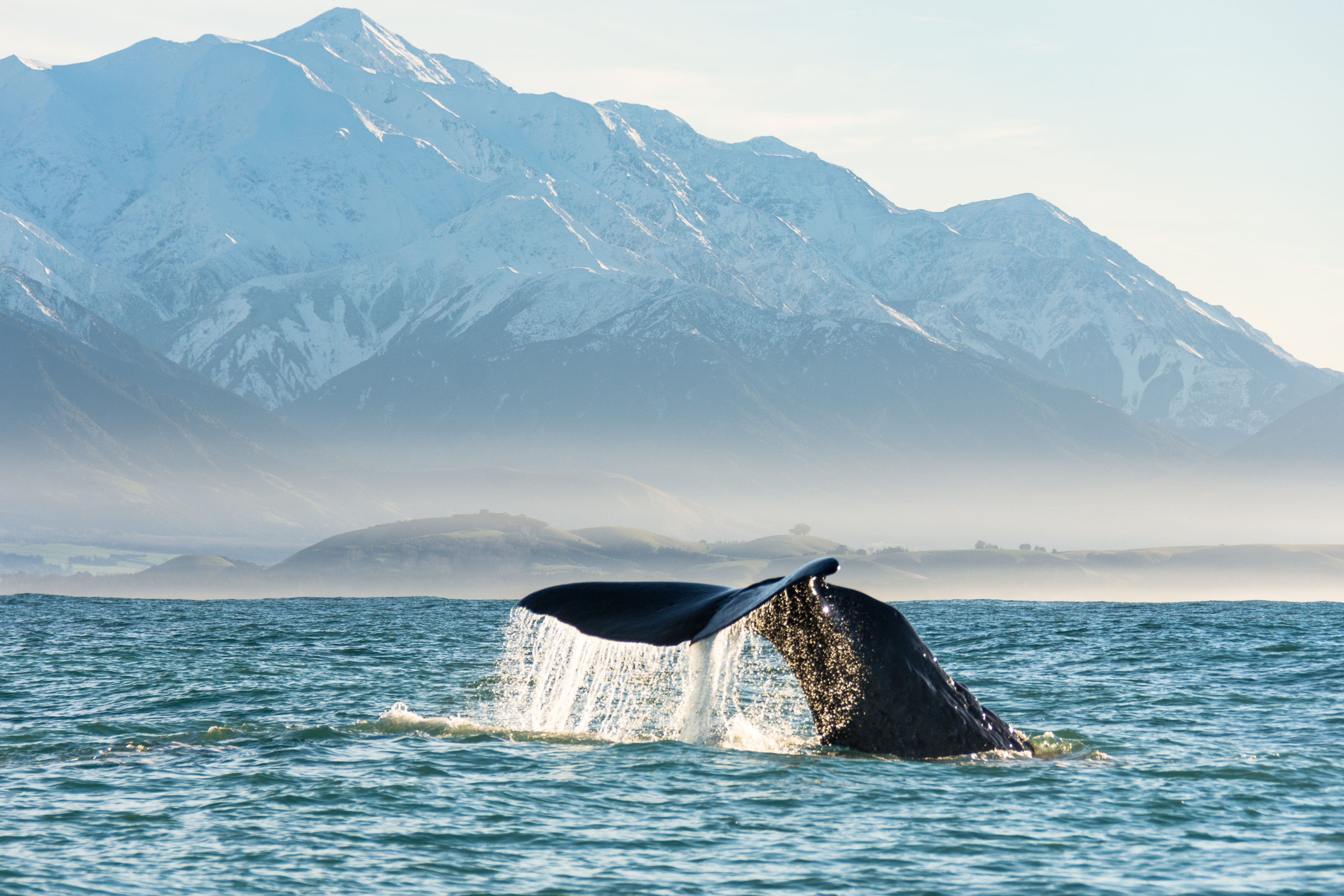 Whales Tale Mountain 3 of 6 Whales Tale Mountain 3 of 6