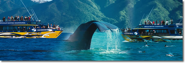 canterbury leisure tour