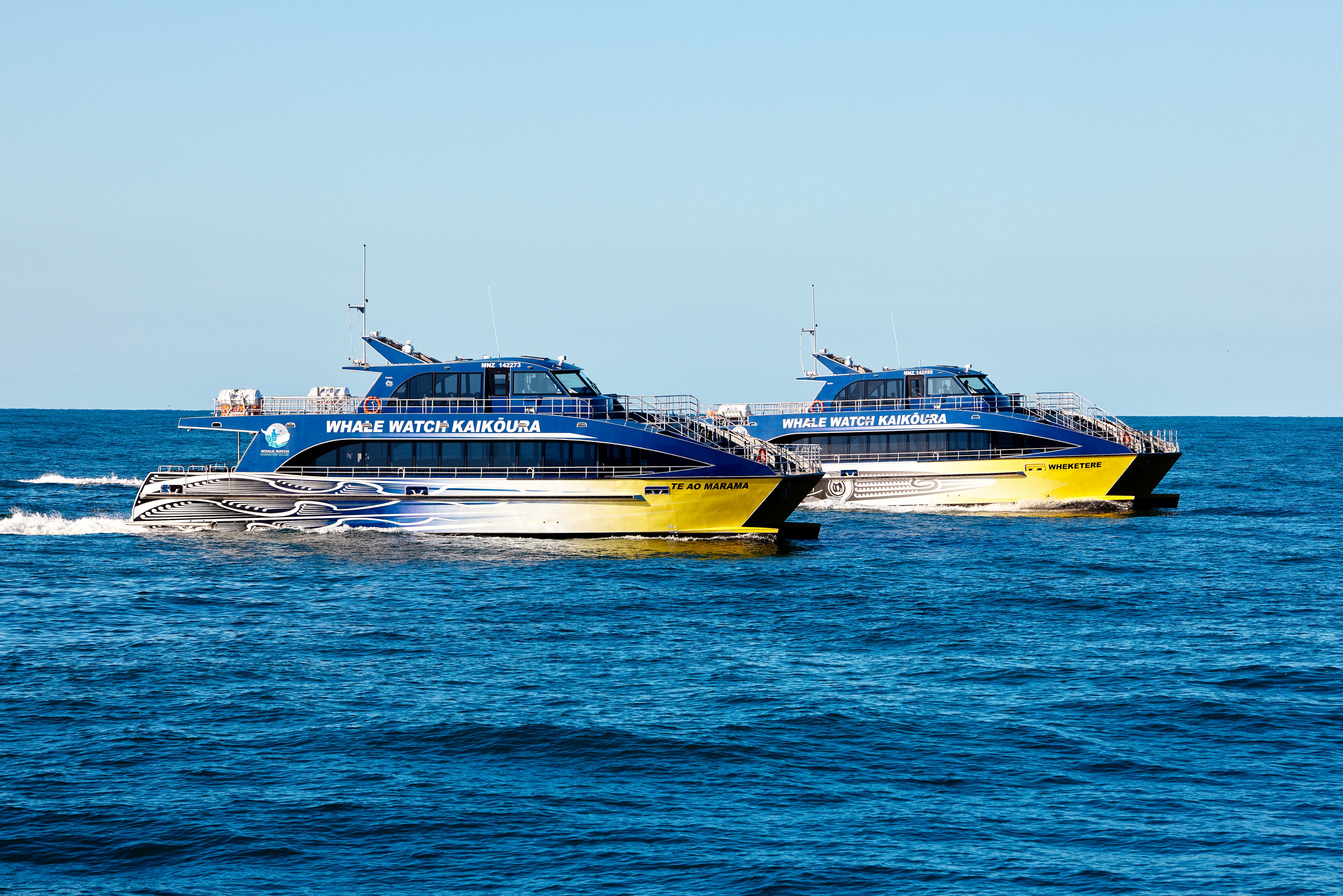 m 220414 whale watch 174284 m 220414 whale watch 174284